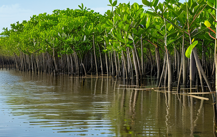 Mangrove Restoration with Bioengineering**

"A vibrant mangrove ecosystem under restoration. Use of natural bioengineering techniques visible: logs and coconut fibers stabilizing the soil around young mangrove seedlings. Lush green foliage in the background. Shallow water reflecting the sky. Perfect anatomy, correct proportions, natural pose, safe for work, appropriate content, fully clothed, professional photography, high quality."

**