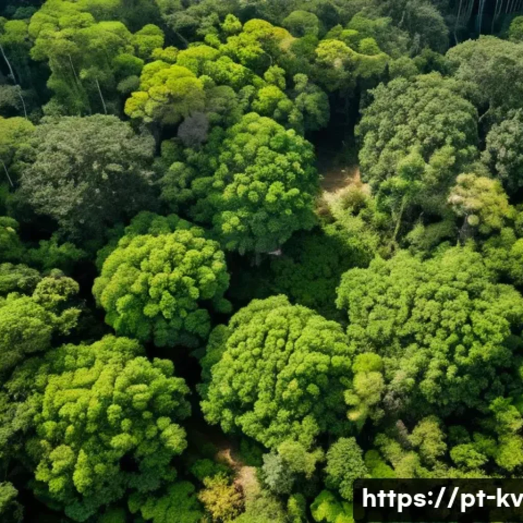 서식지 회복 프로젝트의 성과를 위한 피드백 체계 구축 - A detailed aerial view of a lush Atlantic Forest restoration site in southeastern Brazil, captured b...