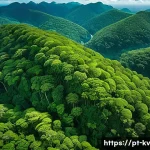 Home 22 서식지 복원을 위한 기술적 솔루션 - A high-resolution aerial scene showing a drone equipped with multispectral cameras flying over a lus...