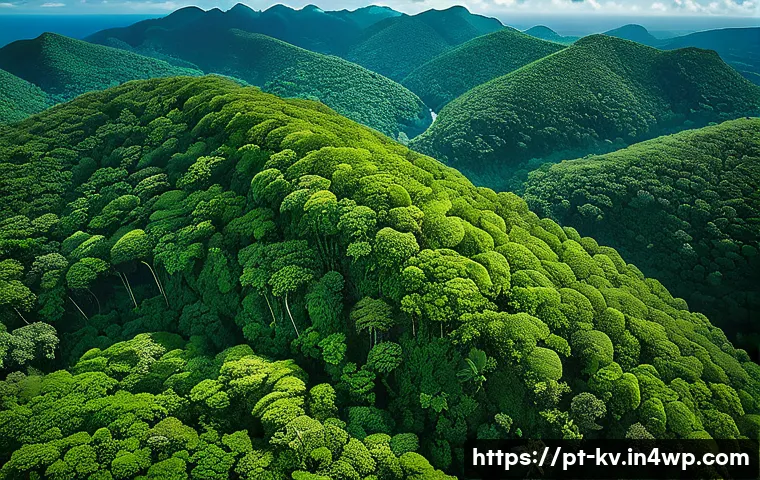 서식지 복원을 위한 기술적 솔루션 - A high-resolution aerial scene showing a drone equipped with multispectral cameras flying over a lus...