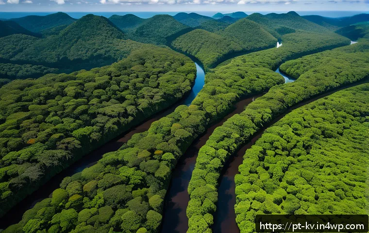 서식지 회복을 위한 전문가 인터뷰 - A vibrant aerial view of a lush Brazilian Atlantic Forest restoration site captured by a drone in mi...